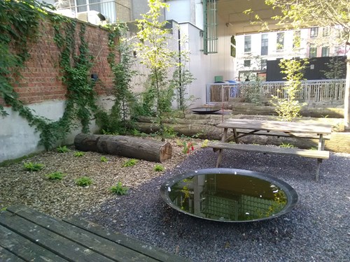 Binnentuin Ecohuis Antwerpen in de zomer